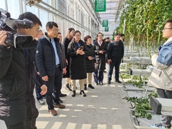 2020年青島市“冬季農技暖陽行動”啟動 設施農業新技術現場觀摩會成功舉辦